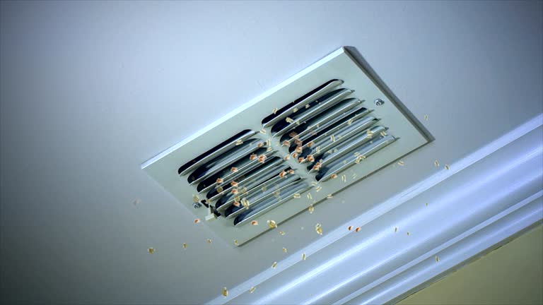 Best Ductwork Cleaning Services  in Cross Lanes, WV