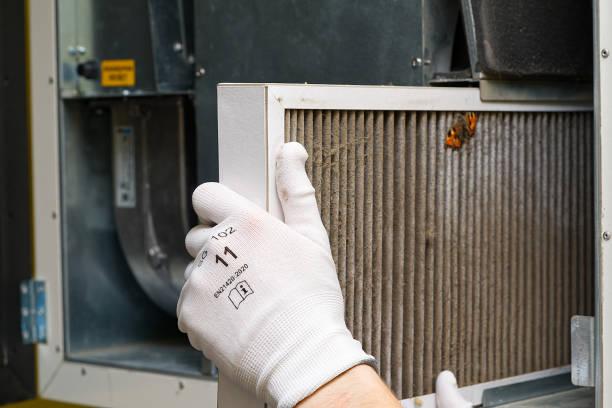 Best Local Air Duct Cleaning Services  in Cross Lanes, WV