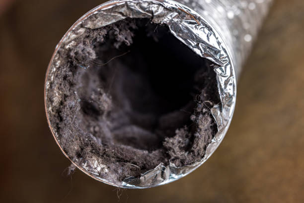 Best Affordable Air Duct Cleaning  in Cross Lanes, WV